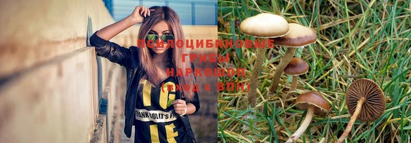 jwh Щигры
