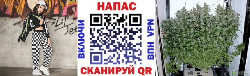Конопля VHQ  Брюховецкая 